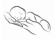 Douces Mains, Petits Petons